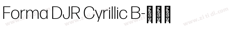 Forma DJR Cyrillic B字体转换